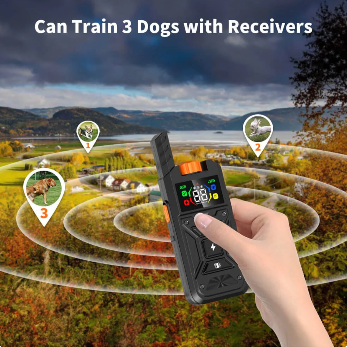 Hand holding a dog training device with a scenic background