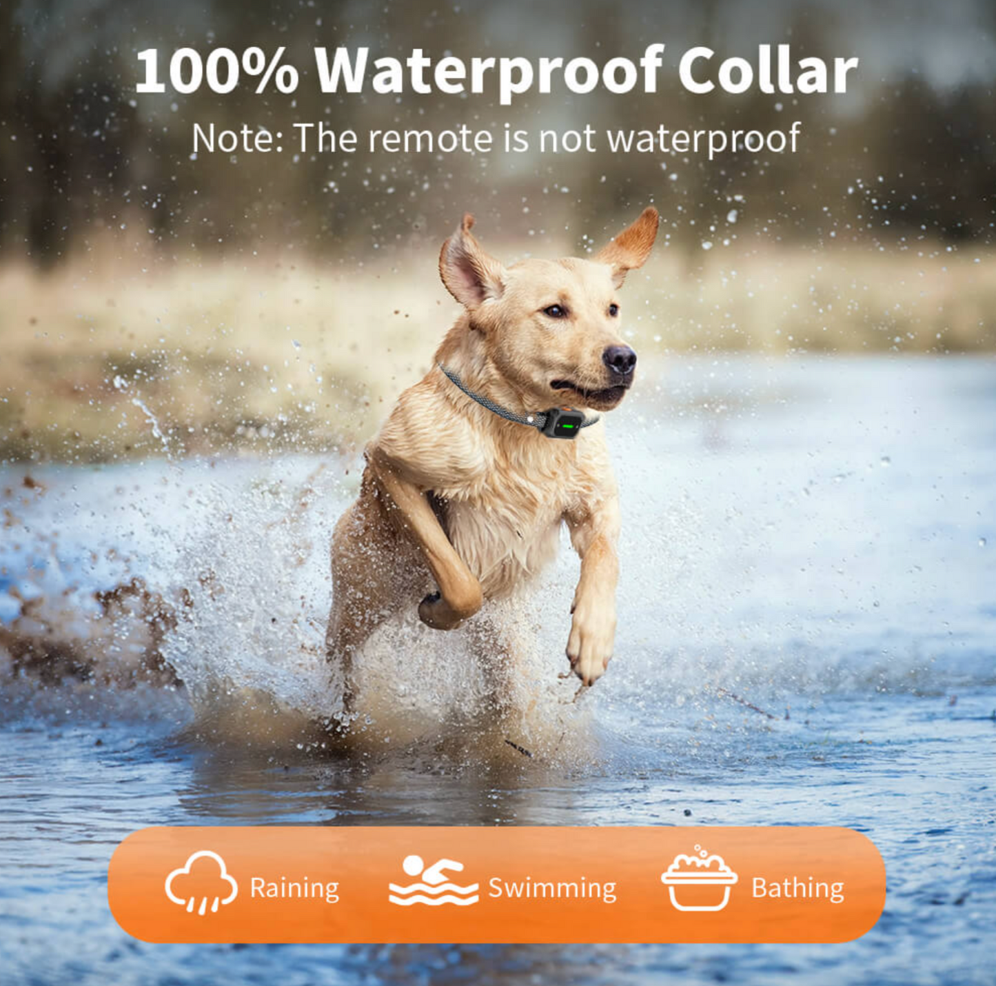 Dog Shock Collar 2600FT with LED Light for Night Walks