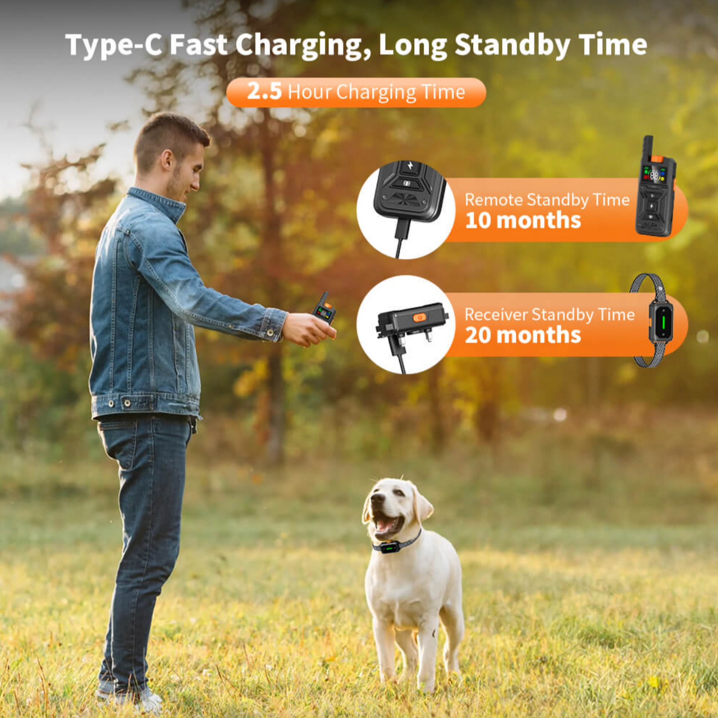 Dog Shock Collar 2600FT with LED Light for Night Walks