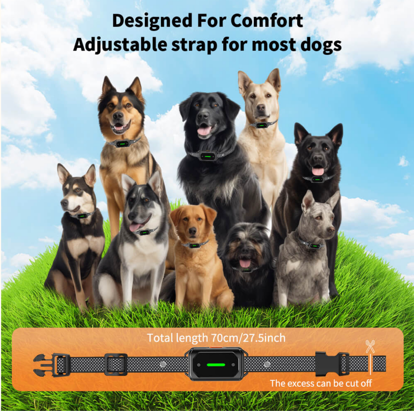 Dog Shock Collar 2600FT with LED Light for Night Walks